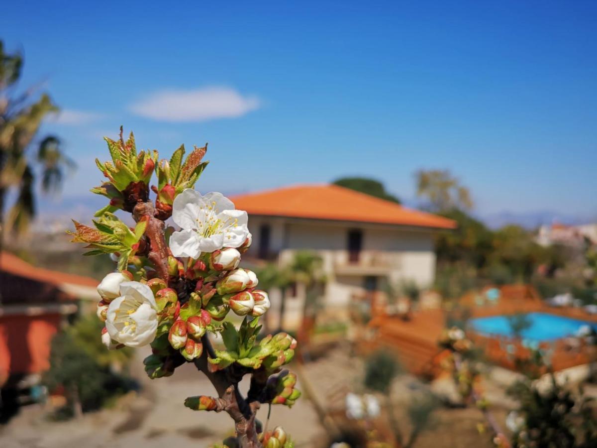B & B Evergreen Corbara  外观 照片